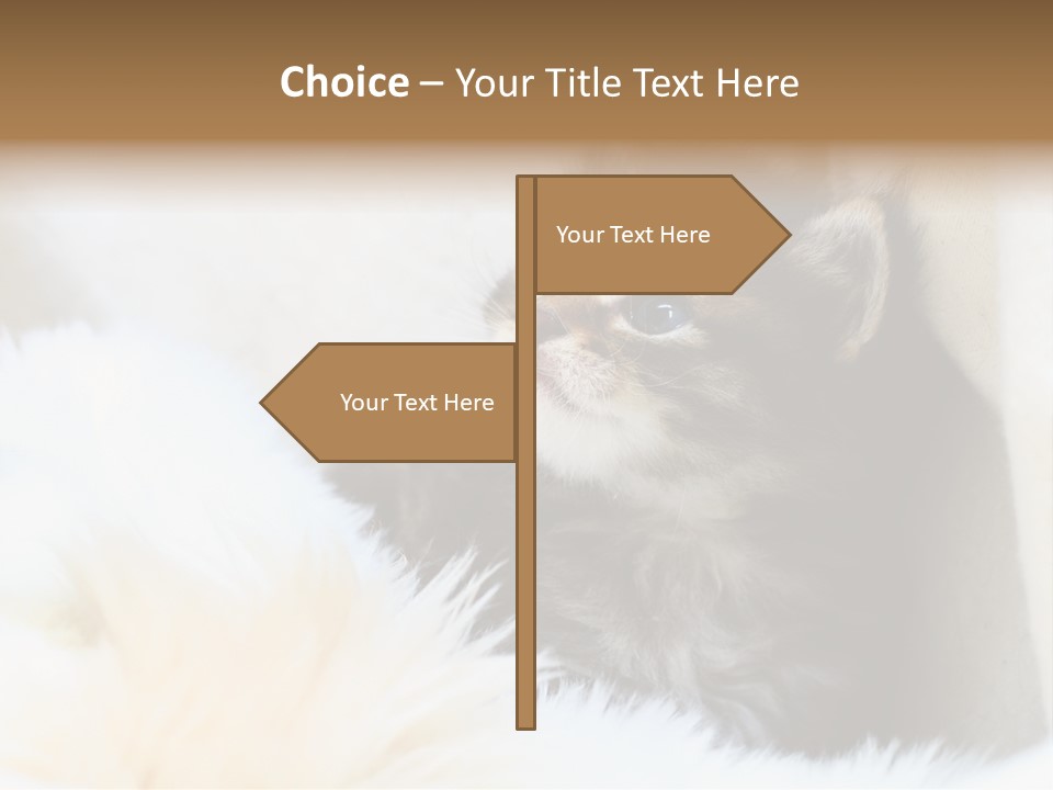 Domestic Pets Small PowerPoint Template