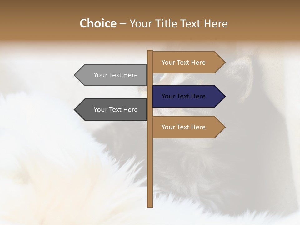 Domestic Pets Small PowerPoint Template