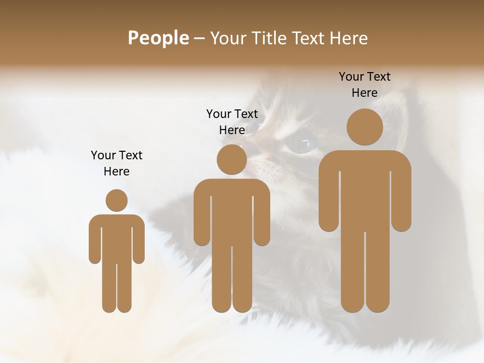 Domestic Pets Small PowerPoint Template