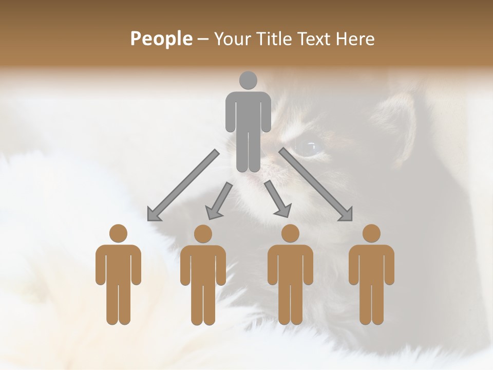 Domestic Pets Small PowerPoint Template