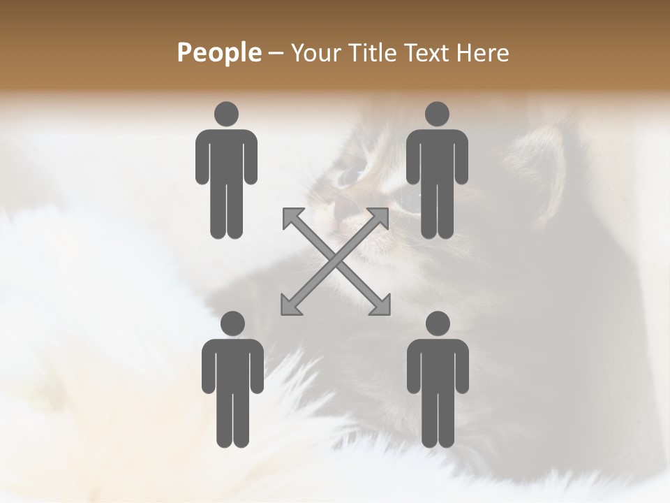 Domestic Pets Small PowerPoint Template