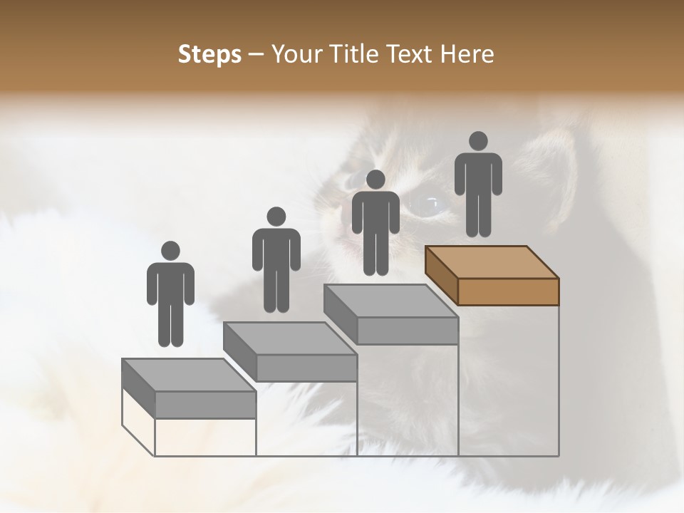 Domestic Pets Small PowerPoint Template
