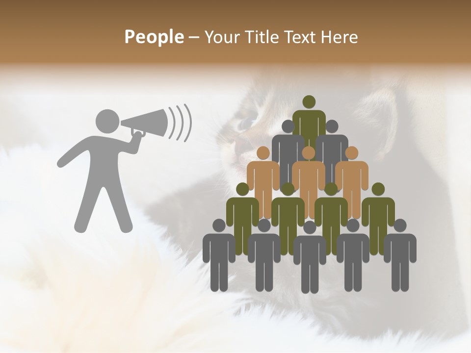 Domestic Pets Small PowerPoint Template