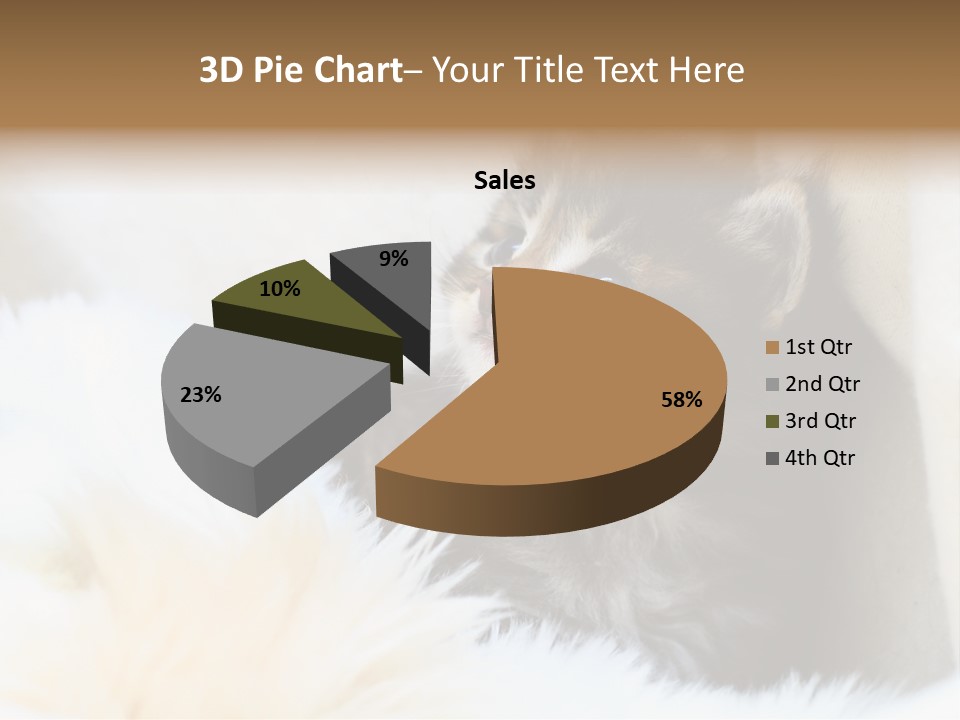 Domestic Pets Small PowerPoint Template