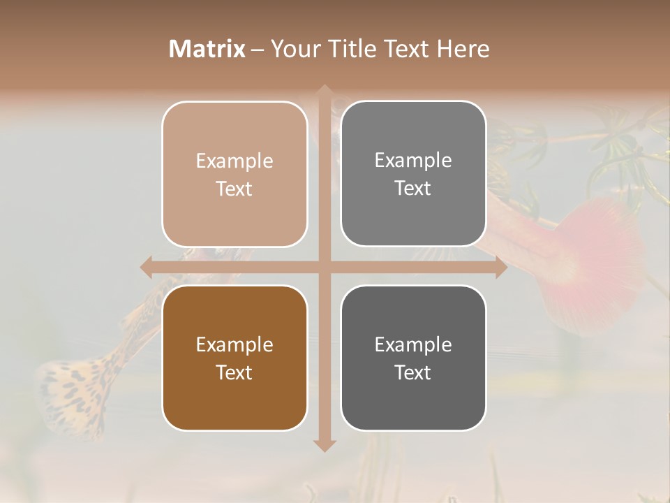 Aquarian Poecilia Guppy PowerPoint Template