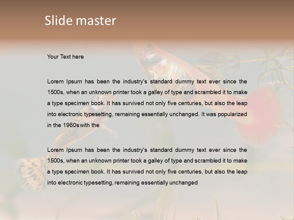 Aquarian Poecilia Guppy PowerPoint Template