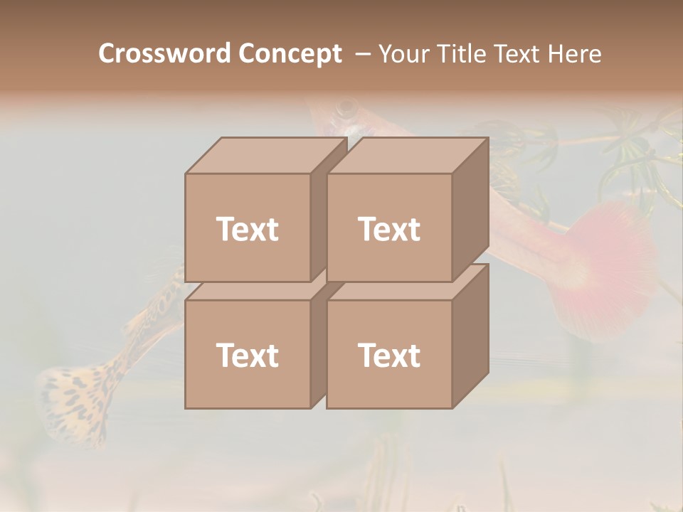 Aquarian Poecilia Guppy PowerPoint Template