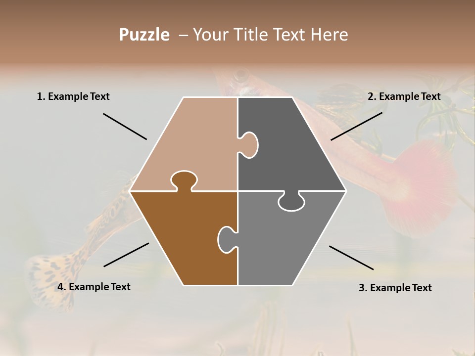 Aquarian Poecilia Guppy PowerPoint Template