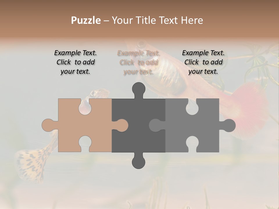 Aquarian Poecilia Guppy PowerPoint Template