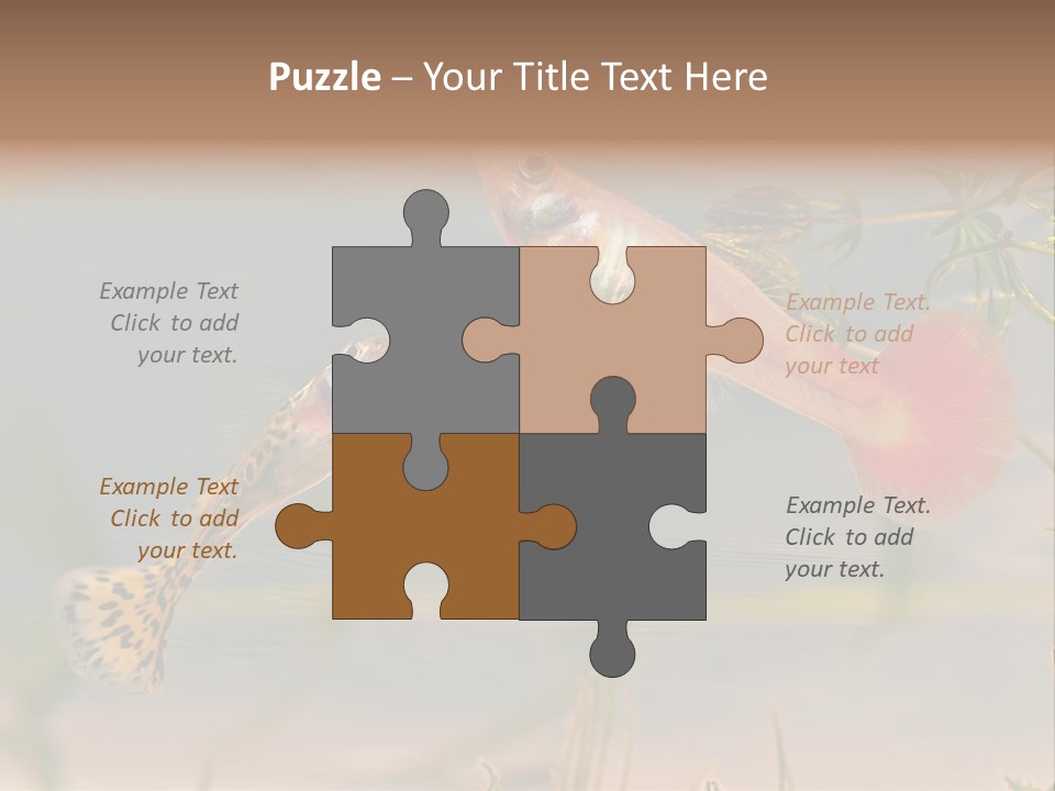 Aquarian Poecilia Guppy PowerPoint Template