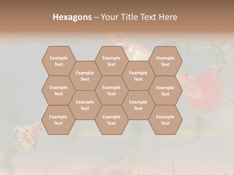 Aquarian Poecilia Guppy PowerPoint Template