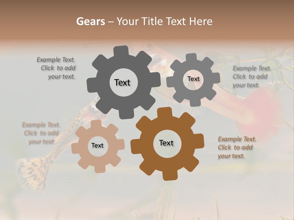 Aquarian Poecilia Guppy PowerPoint Template