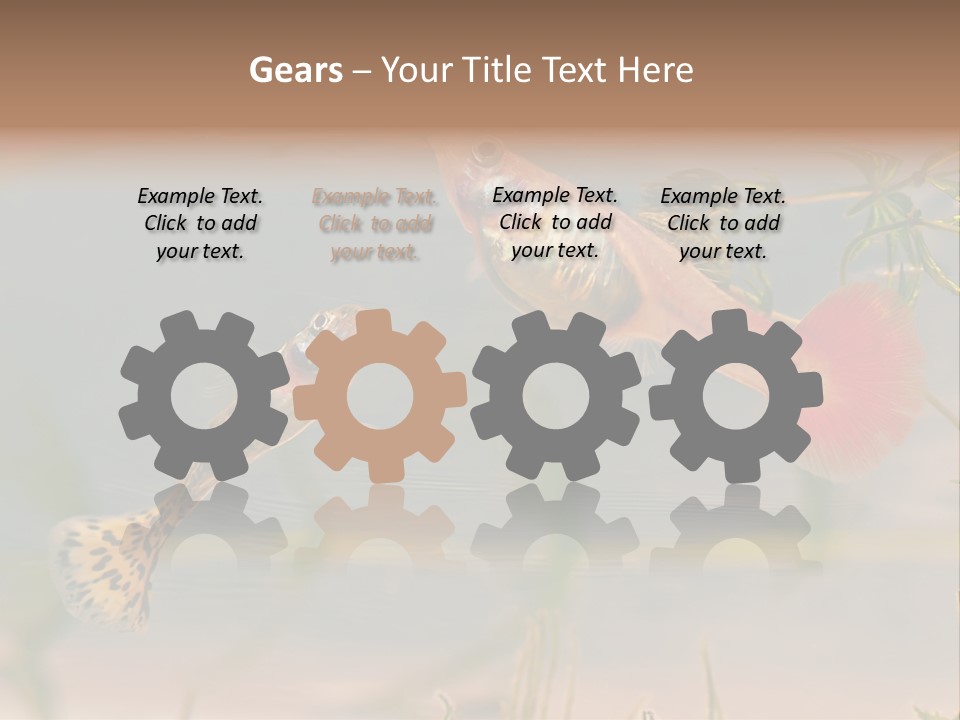 Aquarian Poecilia Guppy PowerPoint Template