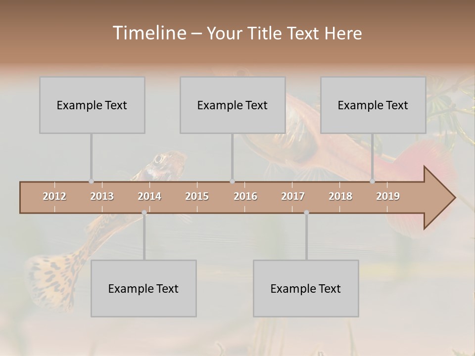 Aquarian Poecilia Guppy PowerPoint Template