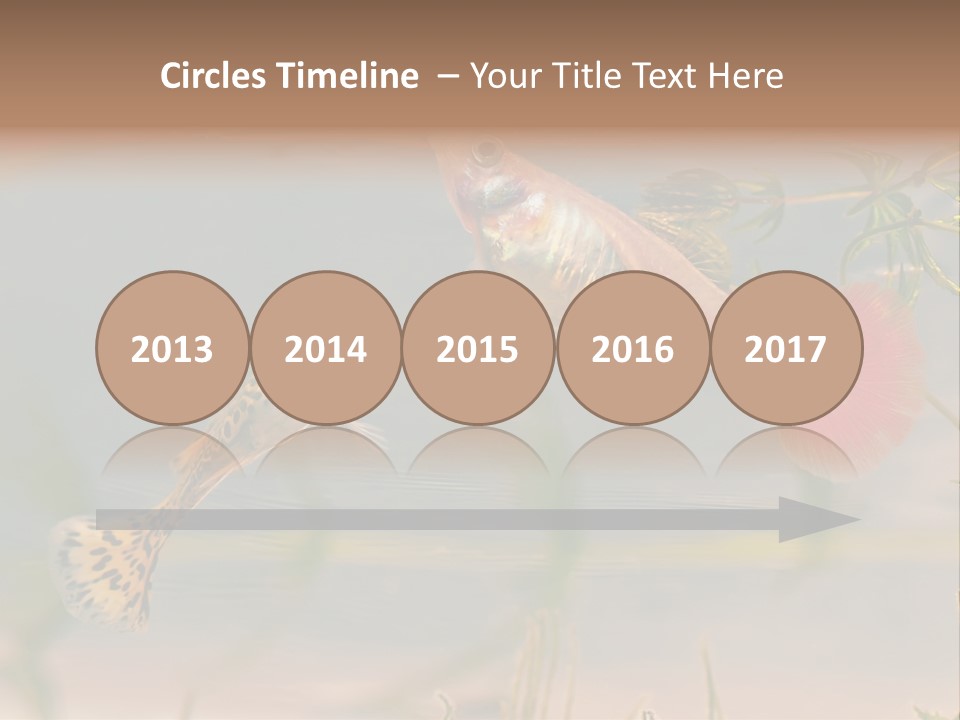 Aquarian Poecilia Guppy PowerPoint Template