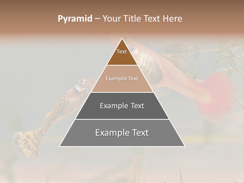 Aquarian Poecilia Guppy PowerPoint Template