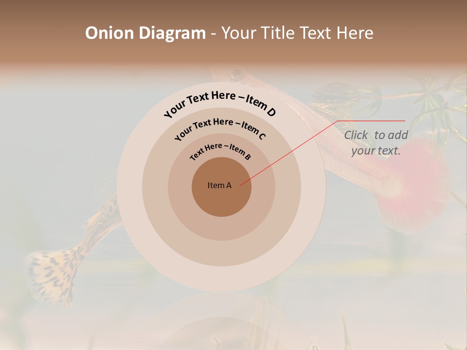 Aquarian Poecilia Guppy PowerPoint Template