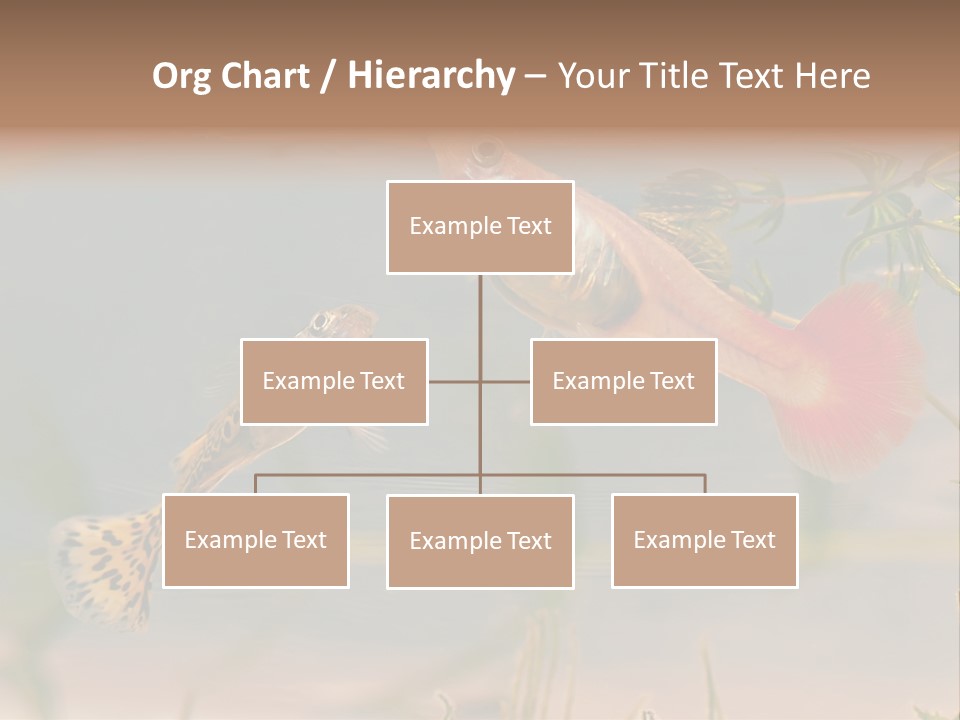 Aquarian Poecilia Guppy PowerPoint Template