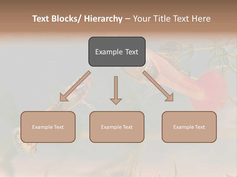 Aquarian Poecilia Guppy PowerPoint Template