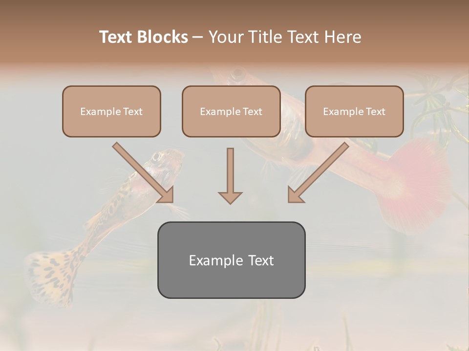 Aquarian Poecilia Guppy PowerPoint Template