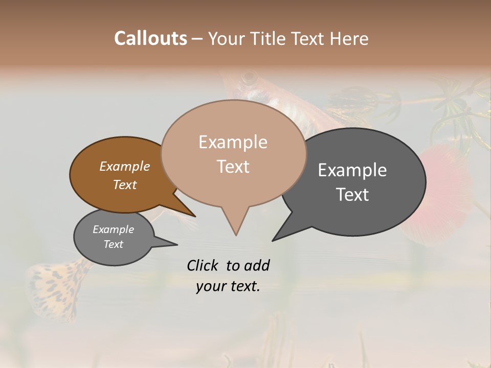 Aquarian Poecilia Guppy PowerPoint Template