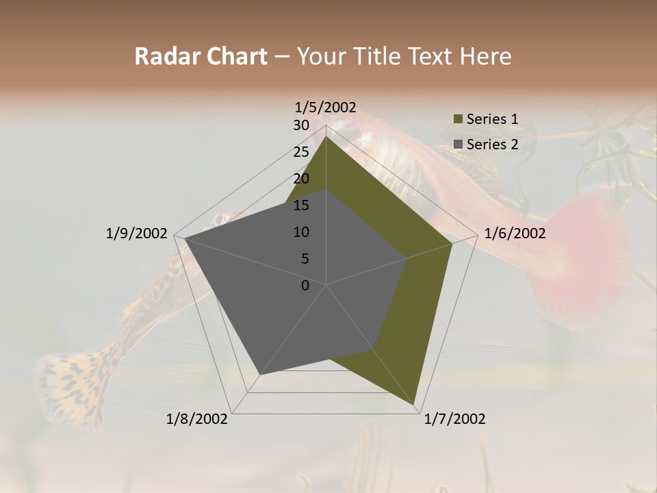 Aquarian Poecilia Guppy PowerPoint Template