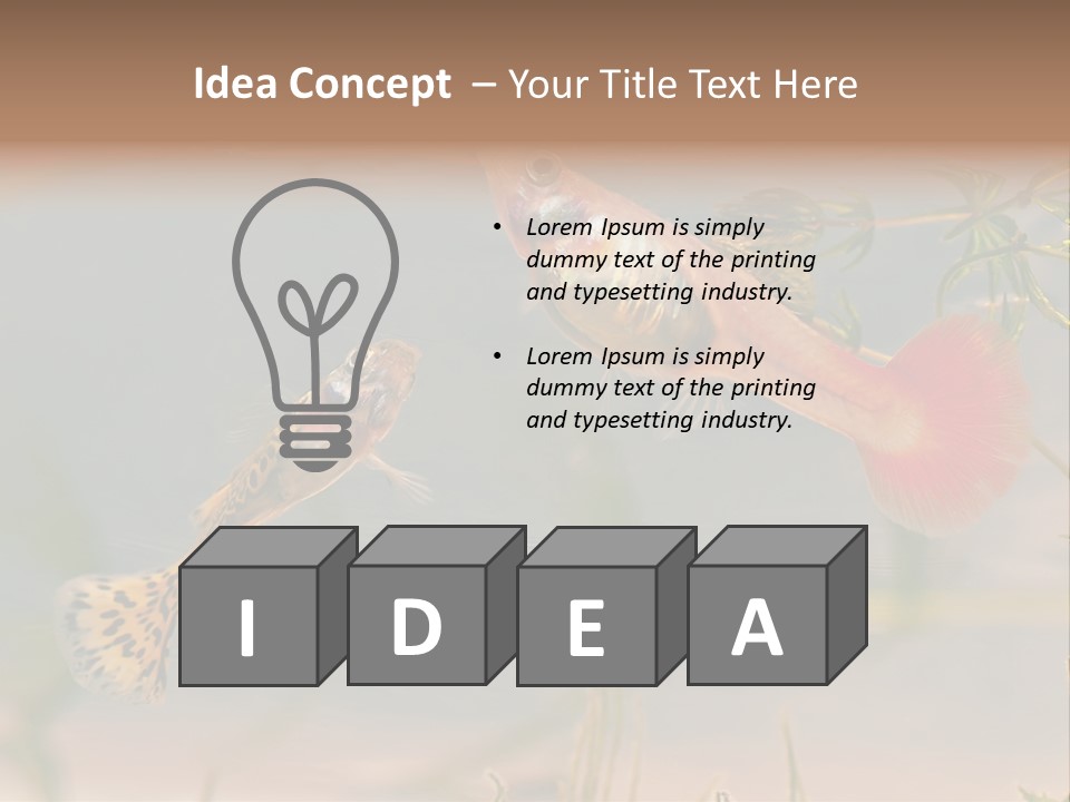 Aquarian Poecilia Guppy PowerPoint Template