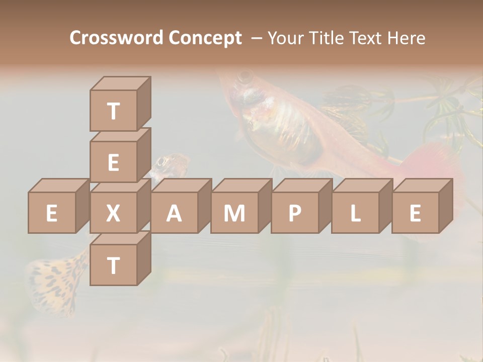 Aquarian Poecilia Guppy PowerPoint Template