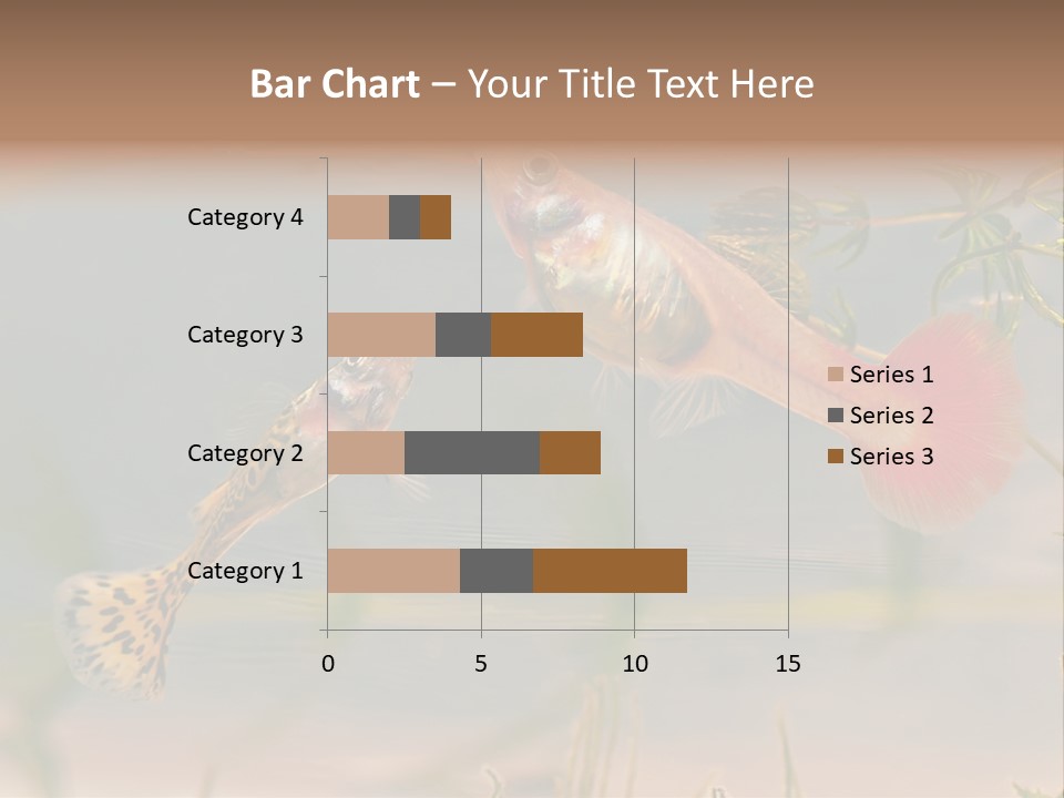 Aquarian Poecilia Guppy PowerPoint Template