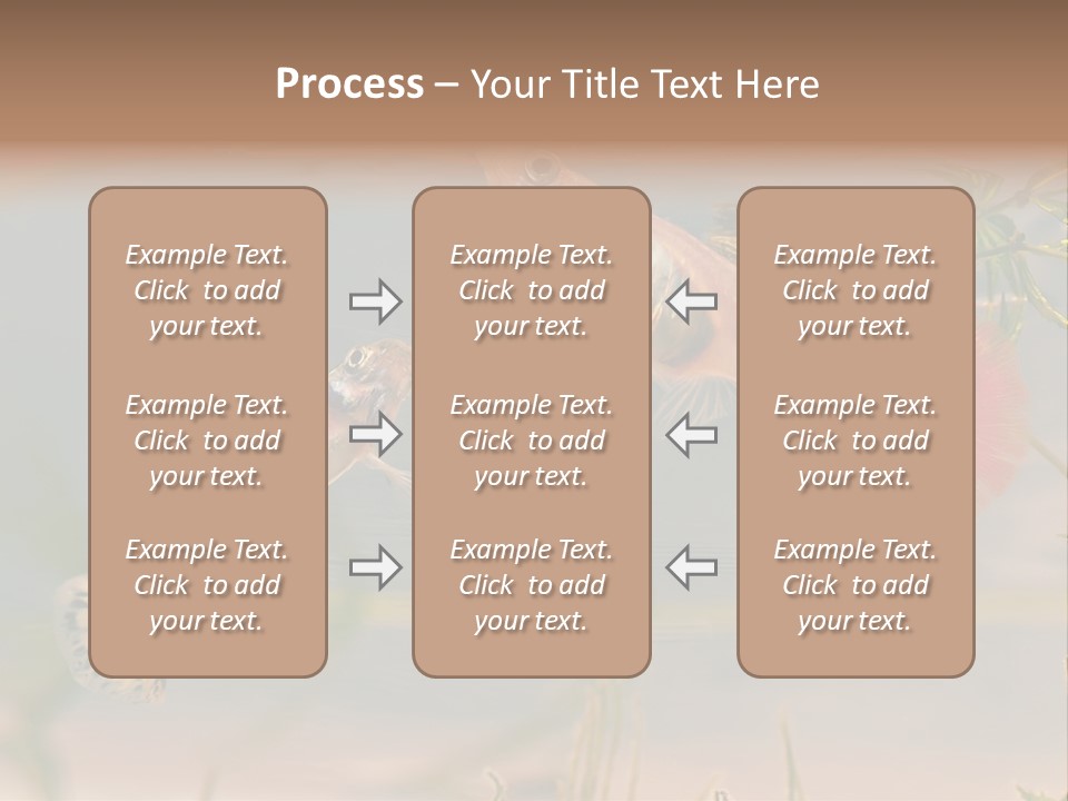 Aquarian Poecilia Guppy PowerPoint Template