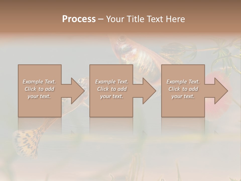 Aquarian Poecilia Guppy PowerPoint Template