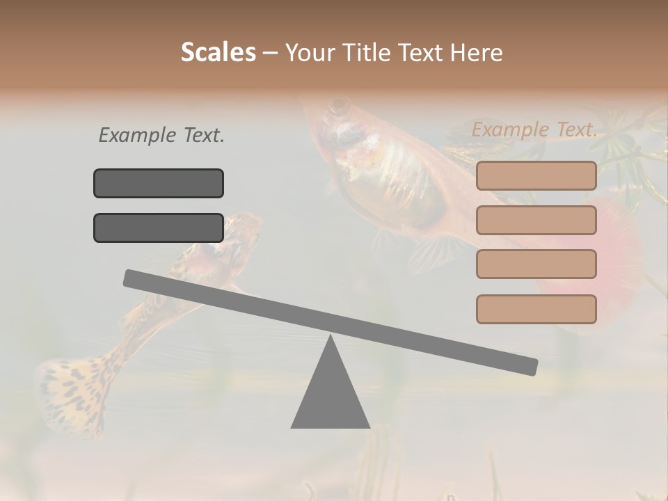 Aquarian Poecilia Guppy PowerPoint Template