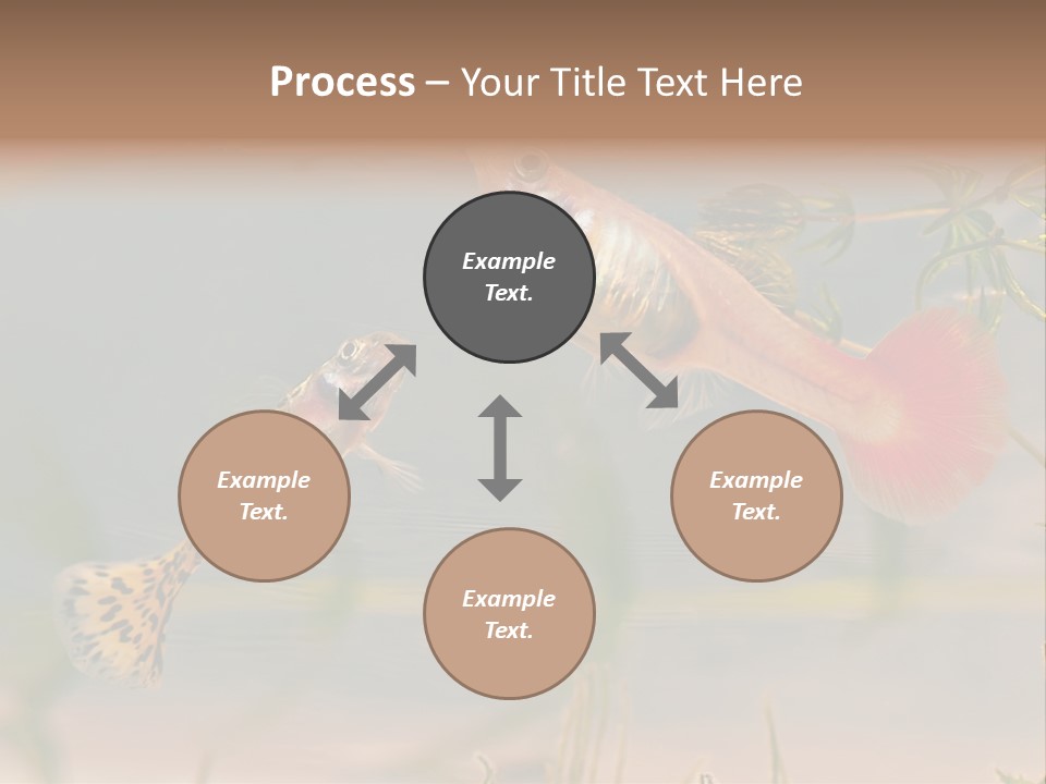 Aquarian Poecilia Guppy PowerPoint Template