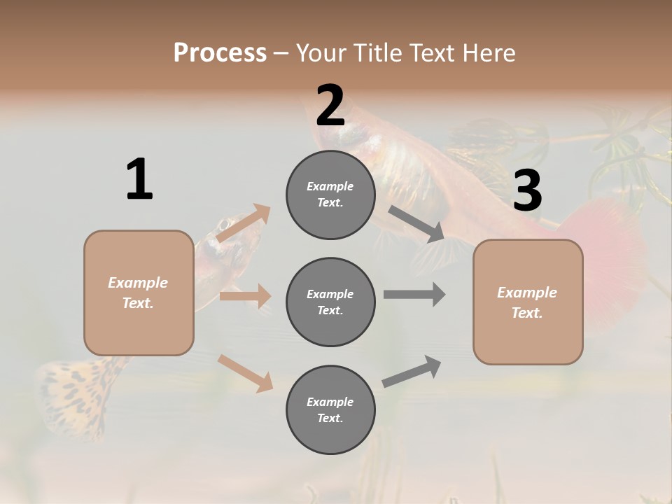 Aquarian Poecilia Guppy PowerPoint Template