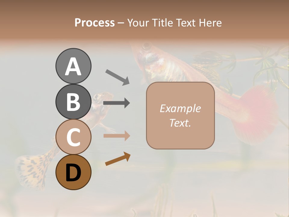 Aquarian Poecilia Guppy PowerPoint Template