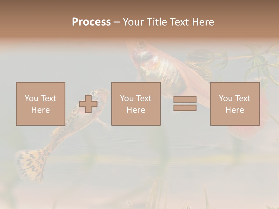 Aquarian Poecilia Guppy PowerPoint Template