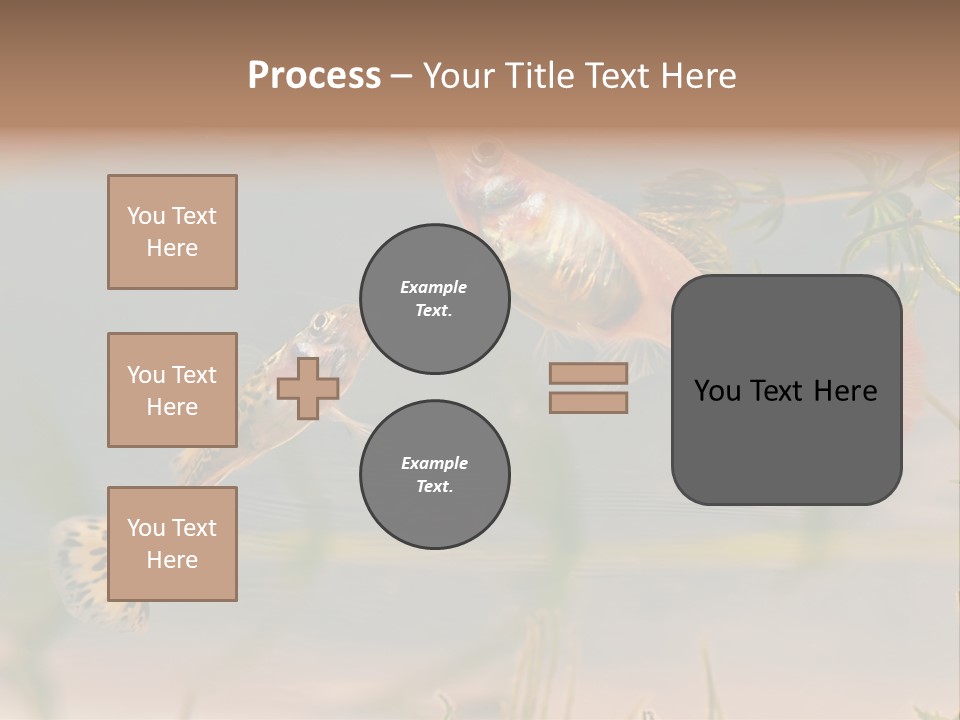 Aquarian Poecilia Guppy PowerPoint Template
