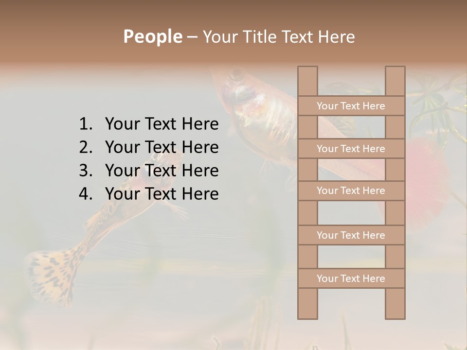 Aquarian Poecilia Guppy PowerPoint Template