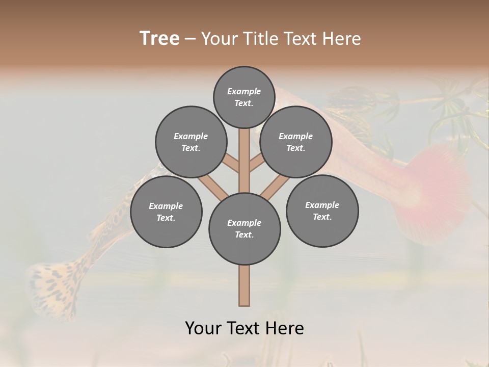 Aquarian Poecilia Guppy PowerPoint Template