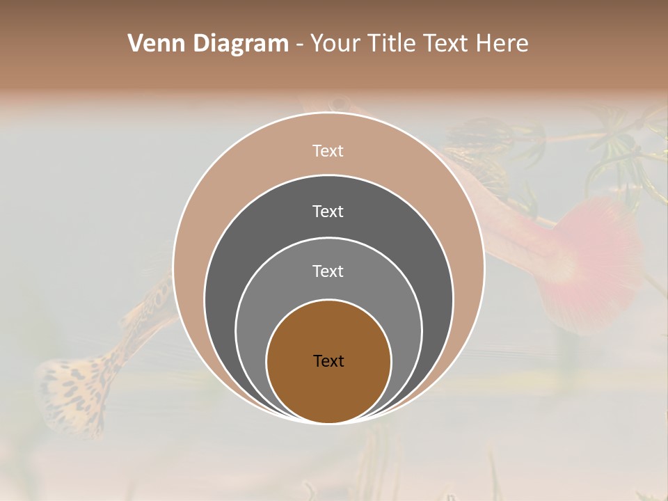 Aquarian Poecilia Guppy PowerPoint Template