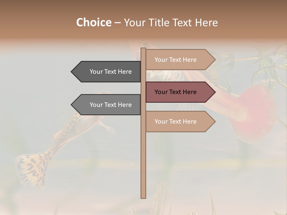 Aquarian Poecilia Guppy PowerPoint Template