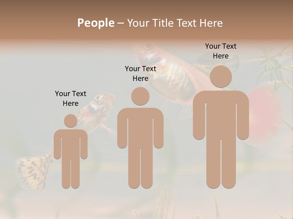 Aquarian Poecilia Guppy PowerPoint Template
