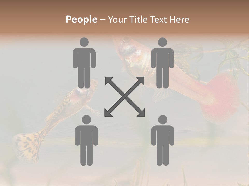 Aquarian Poecilia Guppy PowerPoint Template
