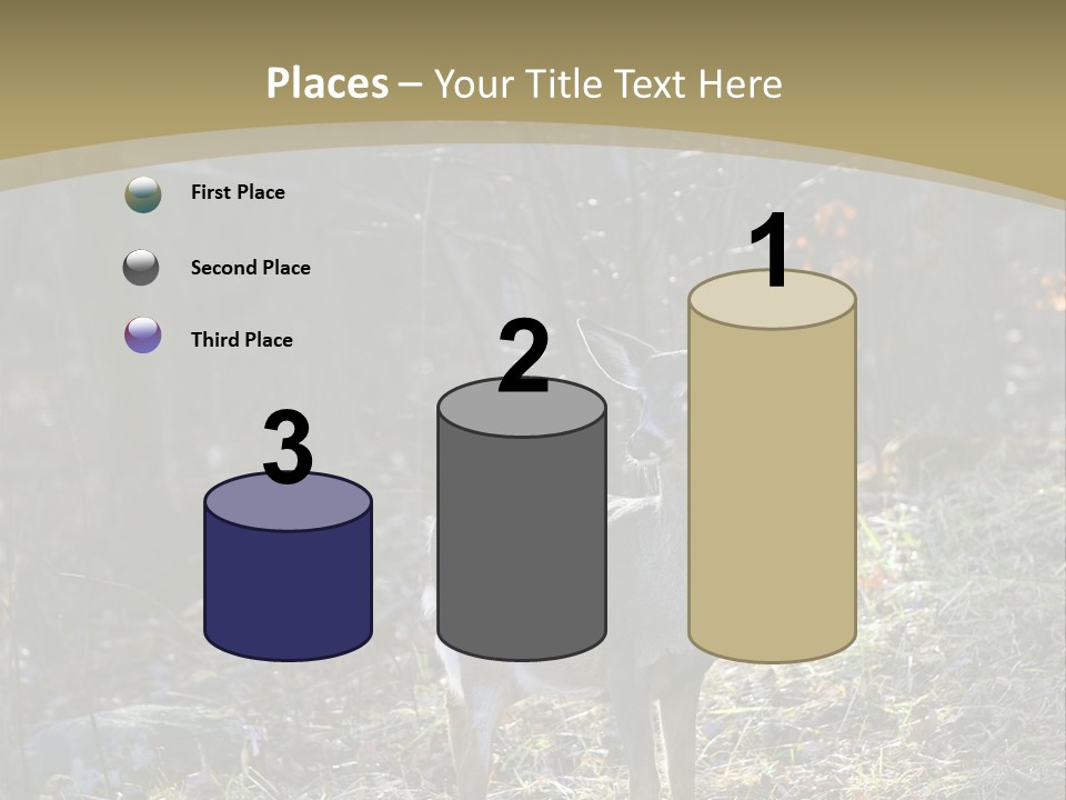 Autumn Wildlife Fall PowerPoint Template