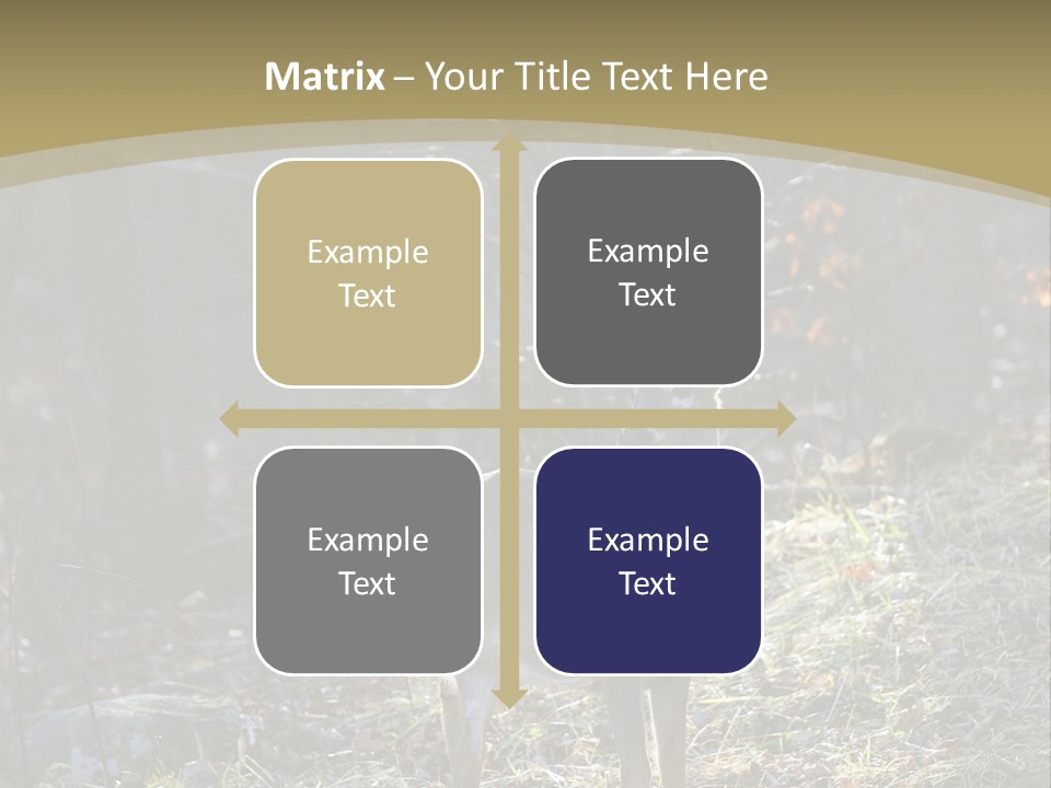 Autumn Wildlife Fall PowerPoint Template