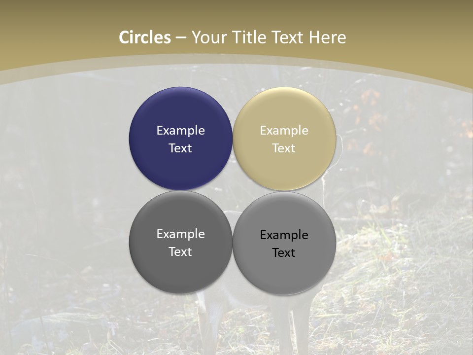 Autumn Wildlife Fall PowerPoint Template