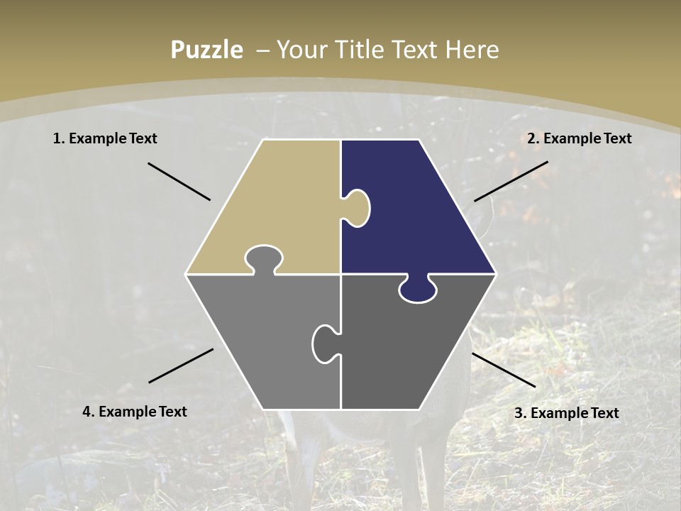 Autumn Wildlife Fall PowerPoint Template