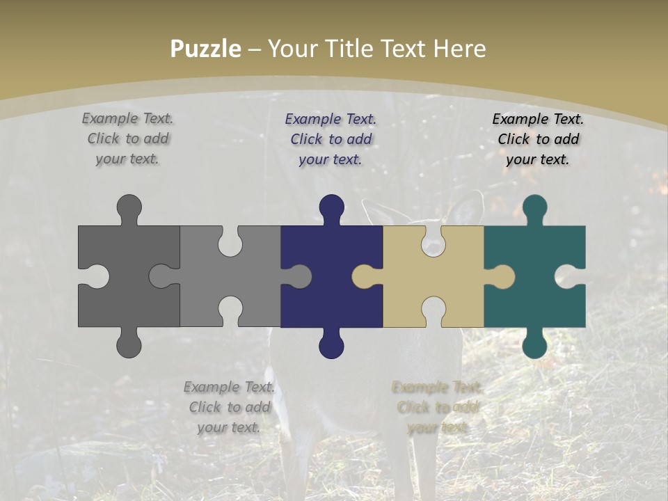 Autumn Wildlife Fall PowerPoint Template