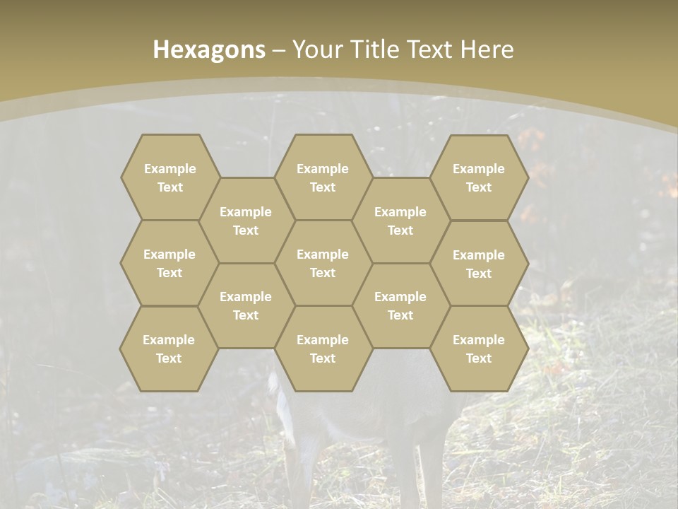 Autumn Wildlife Fall PowerPoint Template