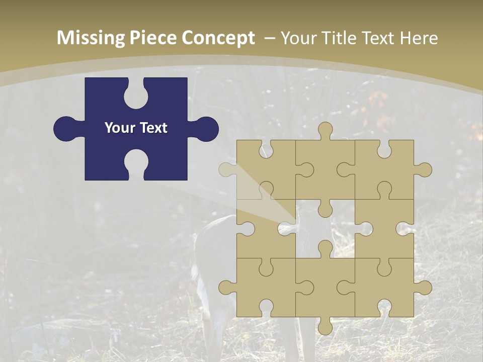 Autumn Wildlife Fall PowerPoint Template